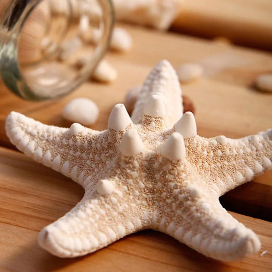 Natural Starfish Hair Clips – Beach Holiday Hair Accessories for Women & Girls