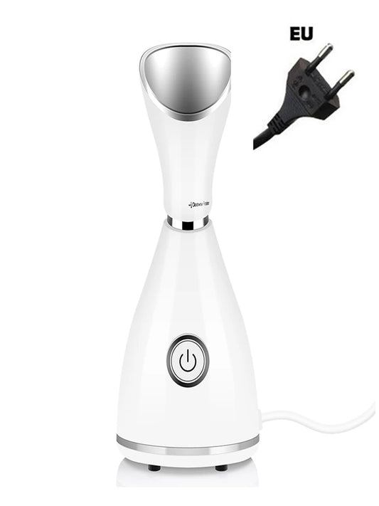 Skin Care Portable Professional Machine – Nano Ionic Face Sprayer & Mini Facial Steamer